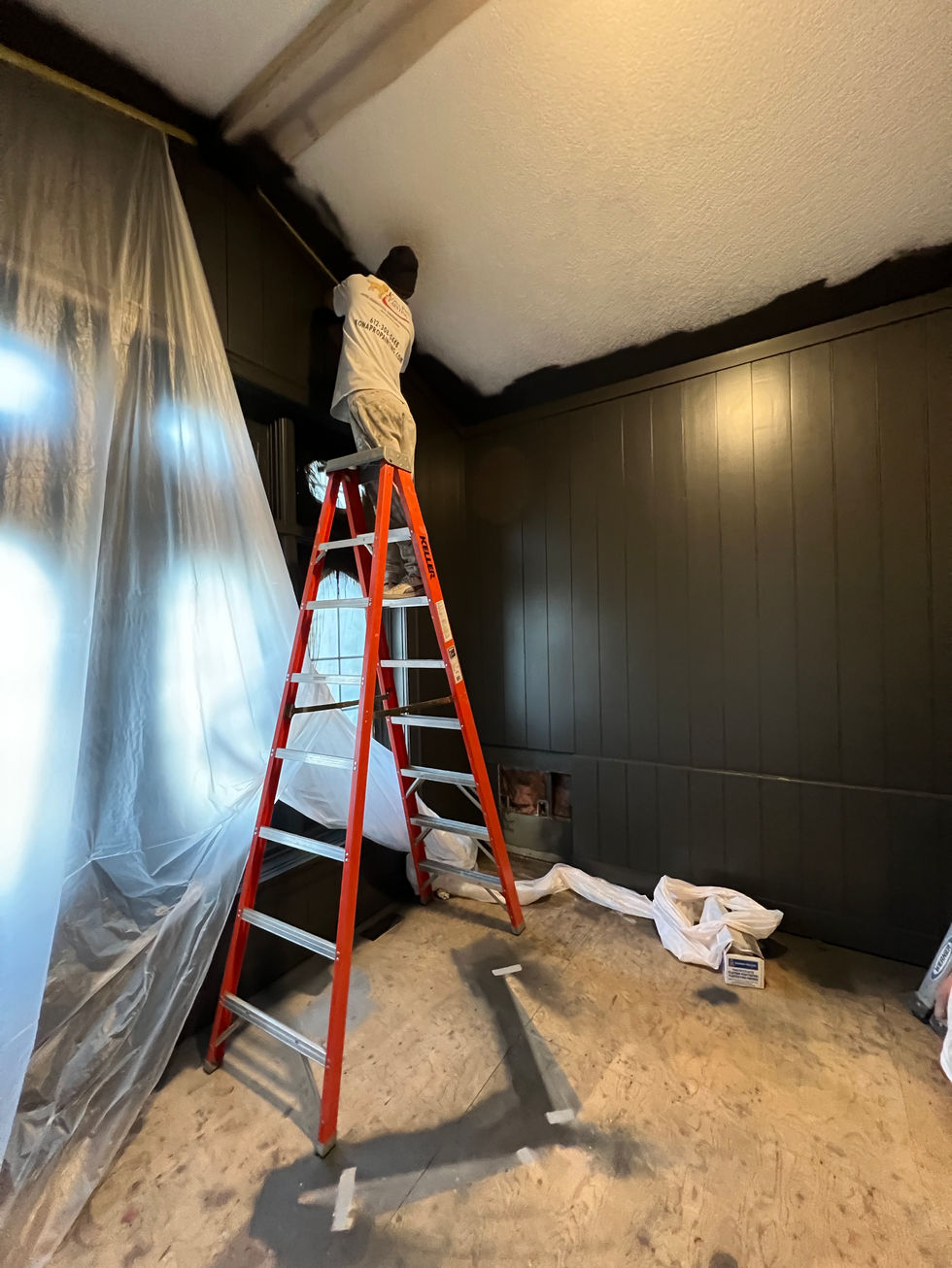 Kona house painter standing on ladder in Minneapolis