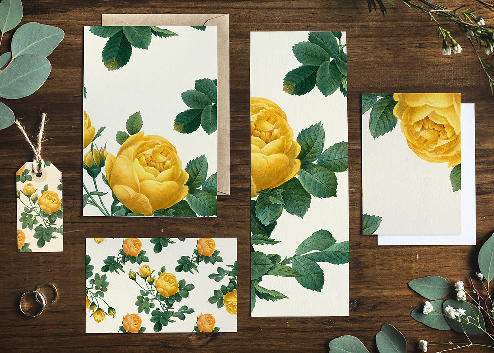 AdobeStock_390535886.jpeg