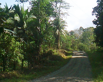 Puerto Viejo Properties