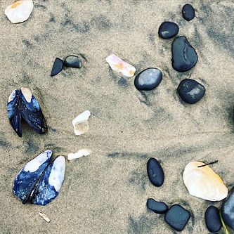 Photo Feb 14, 7 32 04 PM.jpg