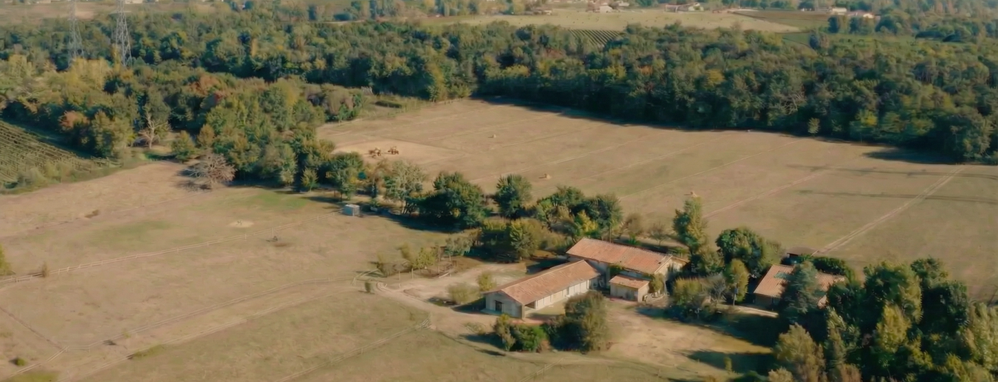 Domaine-Saint-Ciers-d'Abzac-pension-chevaux-formation-garde-equestre-gite-formations-cctrov-option-equin-sst-soins-equins-gironde(33)
Pensions bien-être, gîte rural authentique, formations équestres professionnelles et
équicoaching entreprise. Le Domaine St Ciers d’Abzac vous offre une approche
holistique du monde équestre.