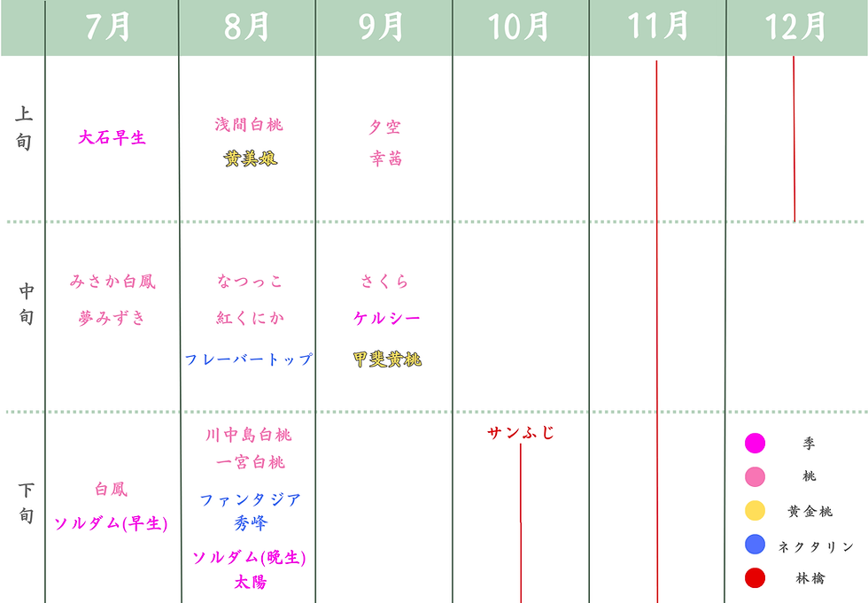 7月のコピー.png