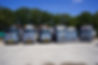DSC07987.JPG