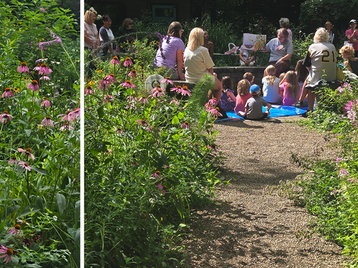 A Vibrant Day For Pollinators and People at the Fleur De Lune/Moon Township Library Youth Event