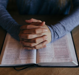 Person studying the Bible