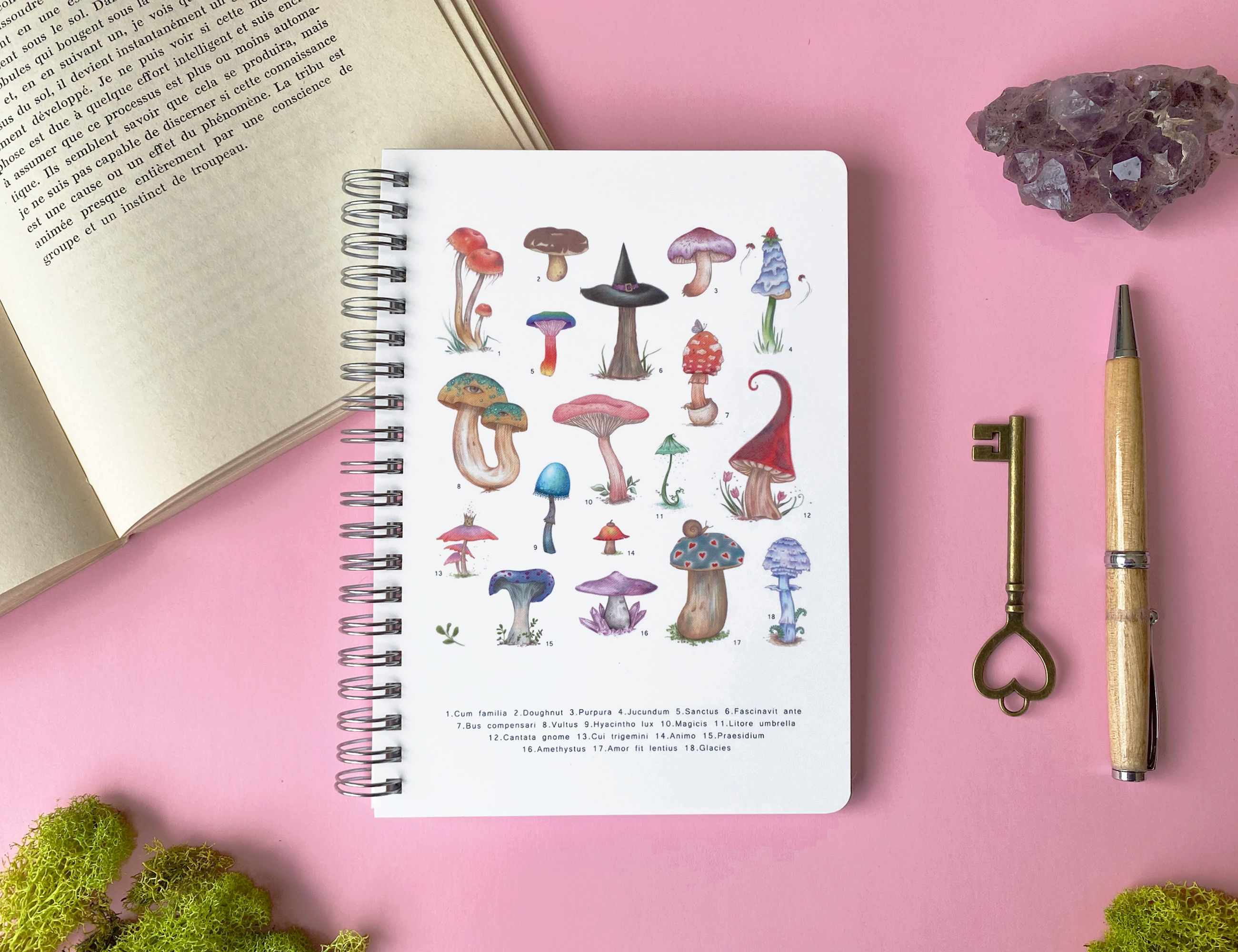 Cahier de notes: Les plus beaux champignons magiques