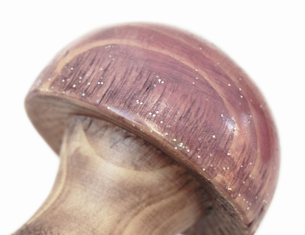 Miniature : Champignon des merveilles