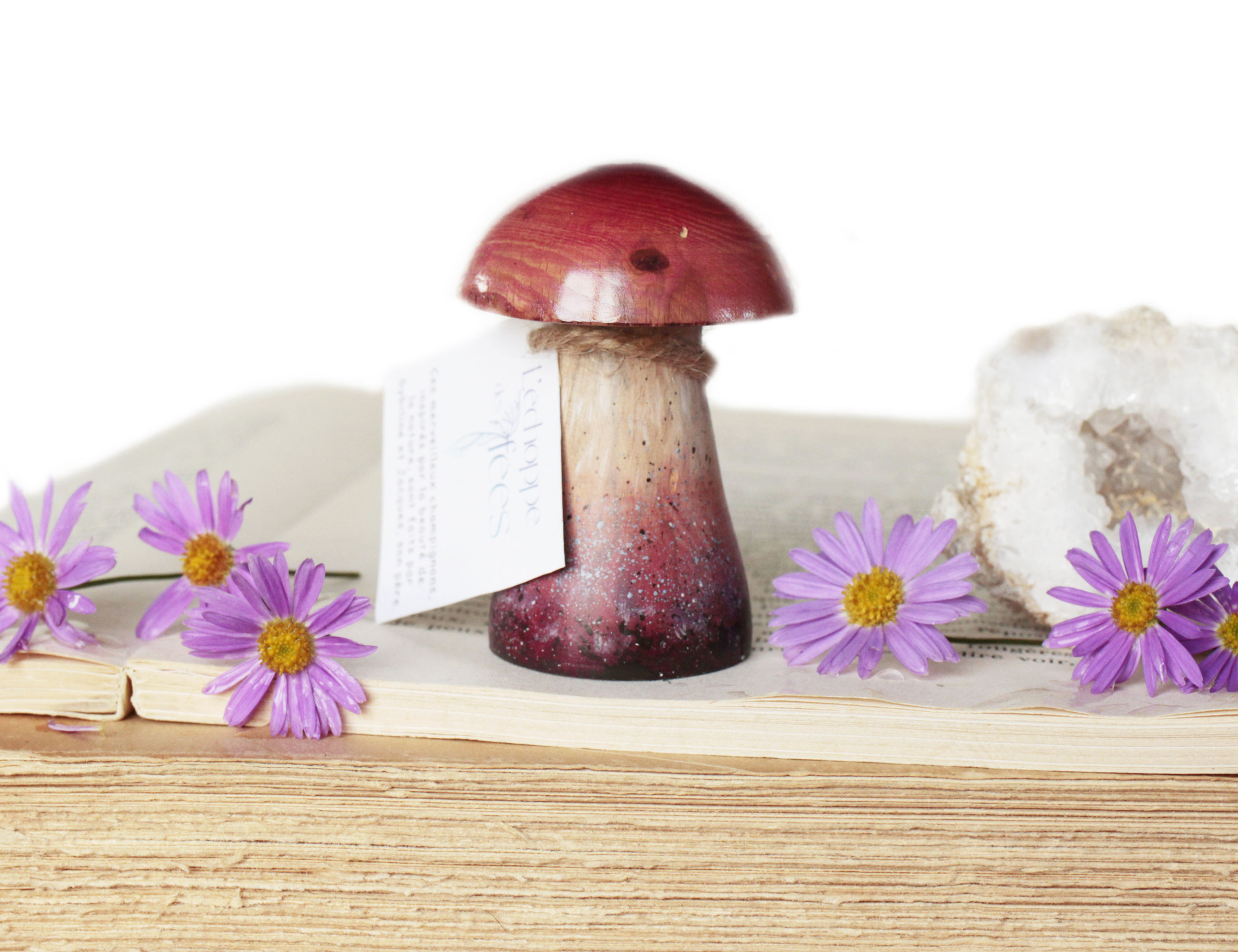 Earth Mushroom