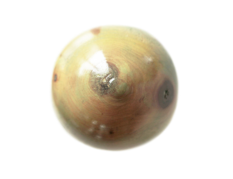Thumbnail: The Carpenter's Mushroom