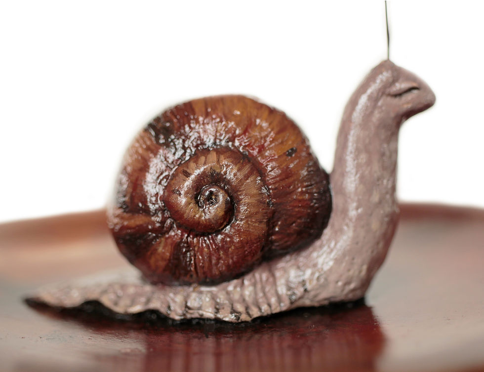 Miniature : Lentement mais sûrement