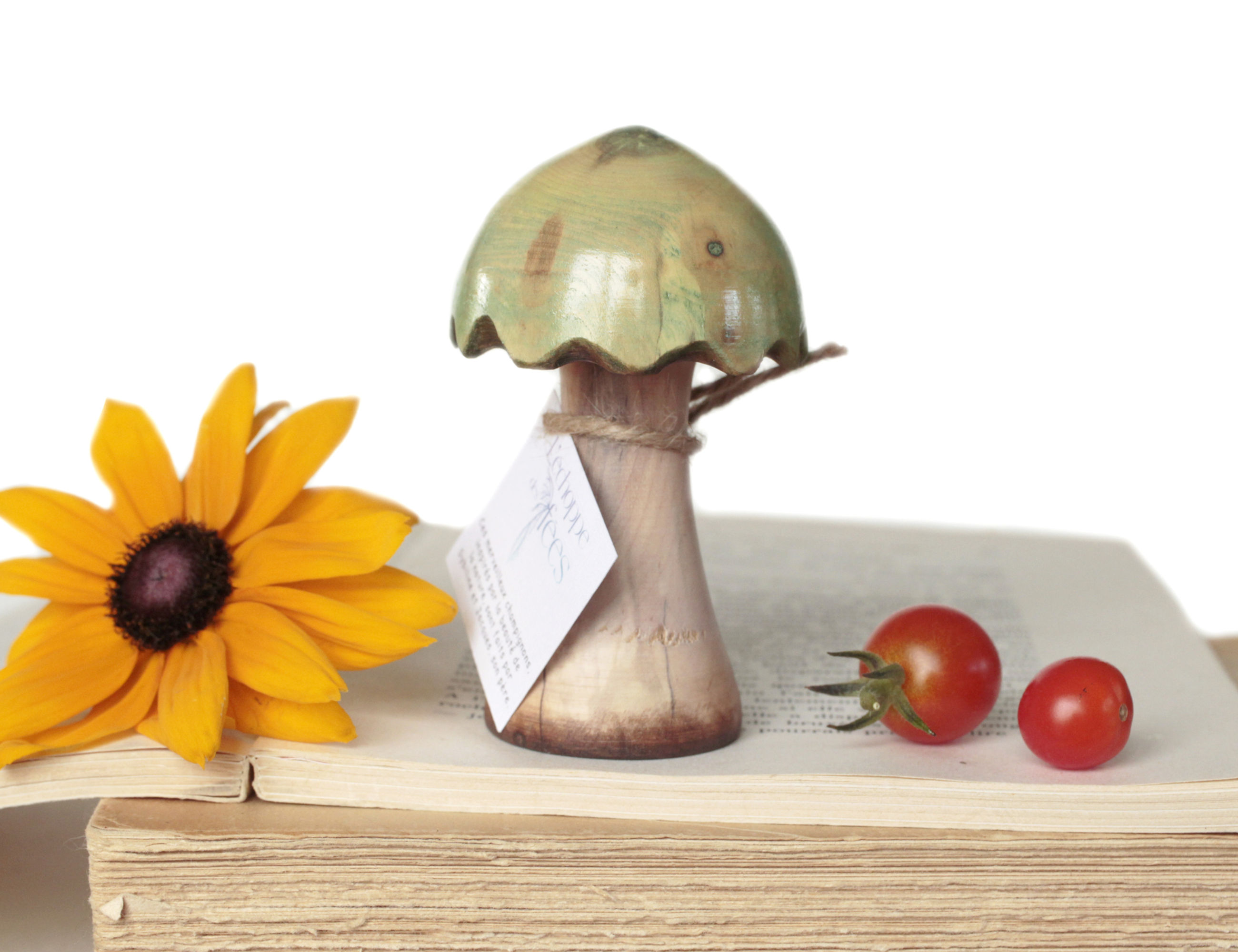 The Carpenter's Mushroom