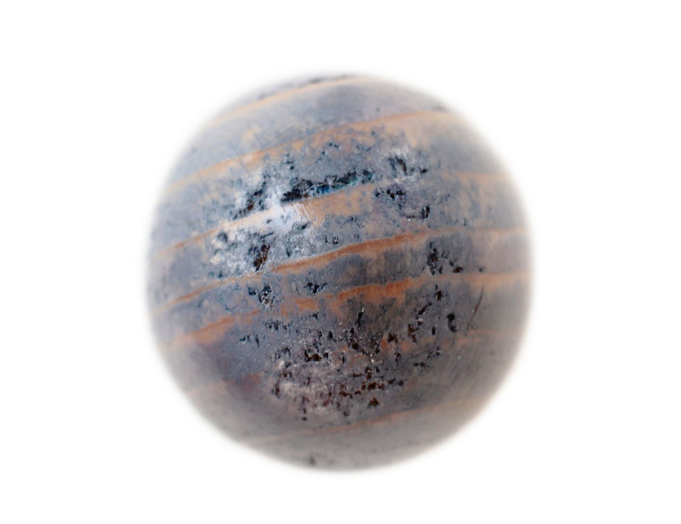 Thumbnail: Pine Mushroom 