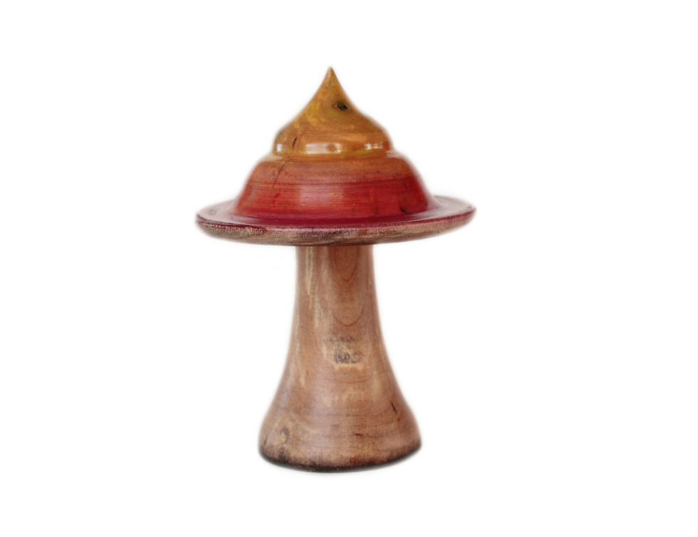 Thumbnail: Pointed Mushroom