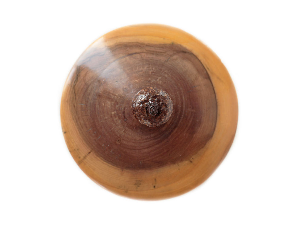 Thumbnail: Maple Mushroom with Ash Acorn Cap