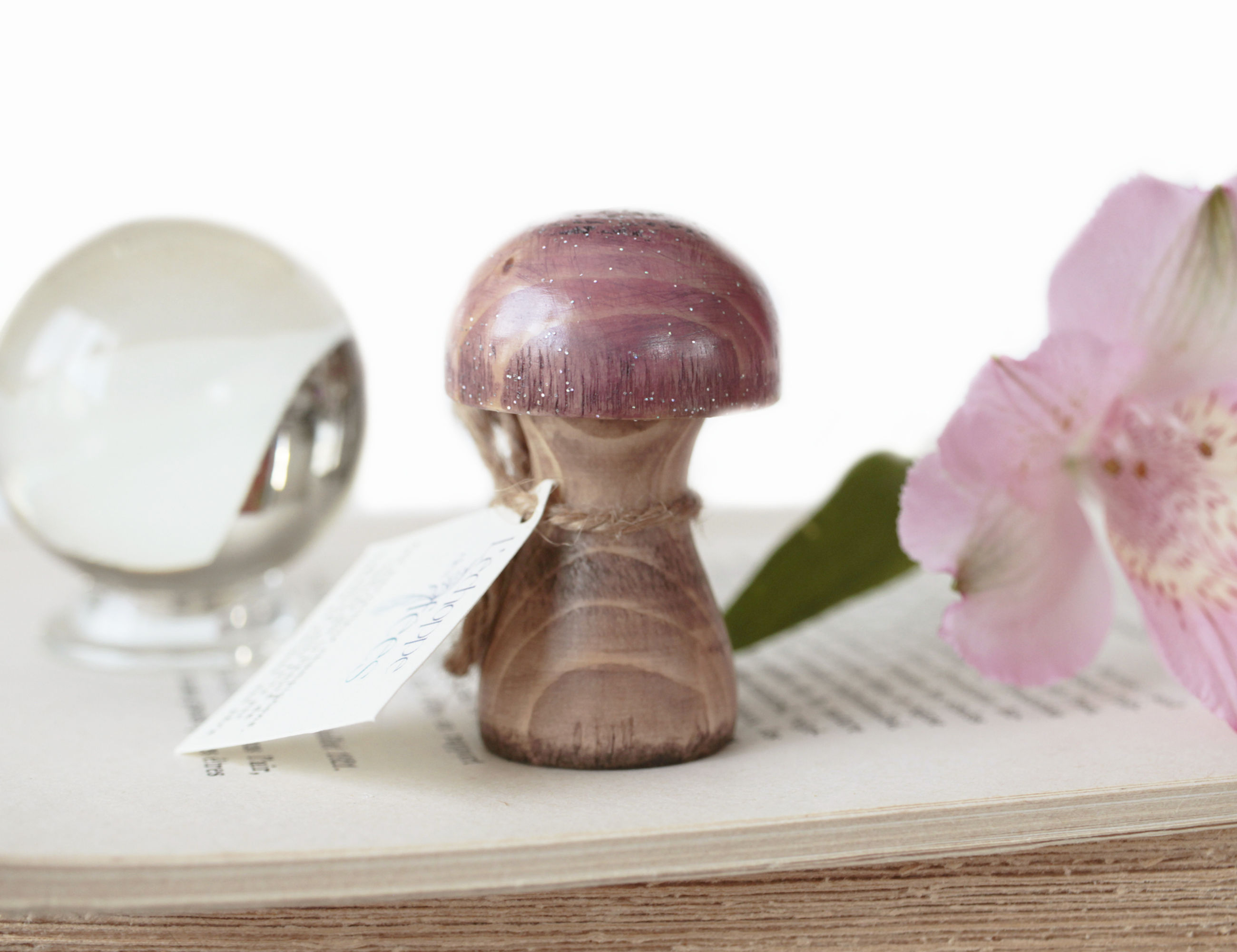 Champignon des merveilles