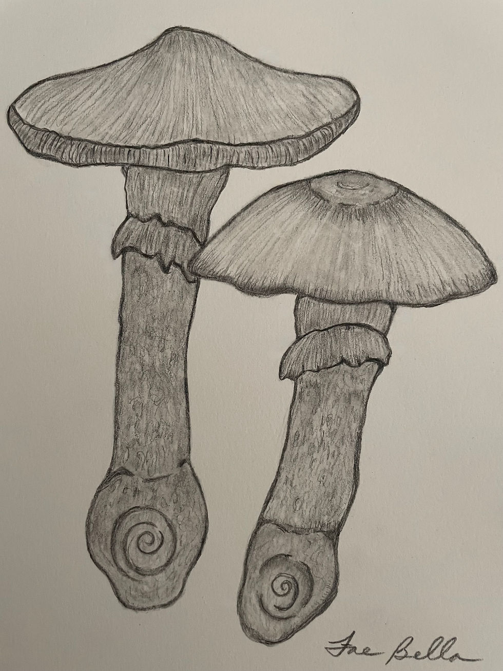 Thumbnail: "Fairy Chairs". Original Drawing.