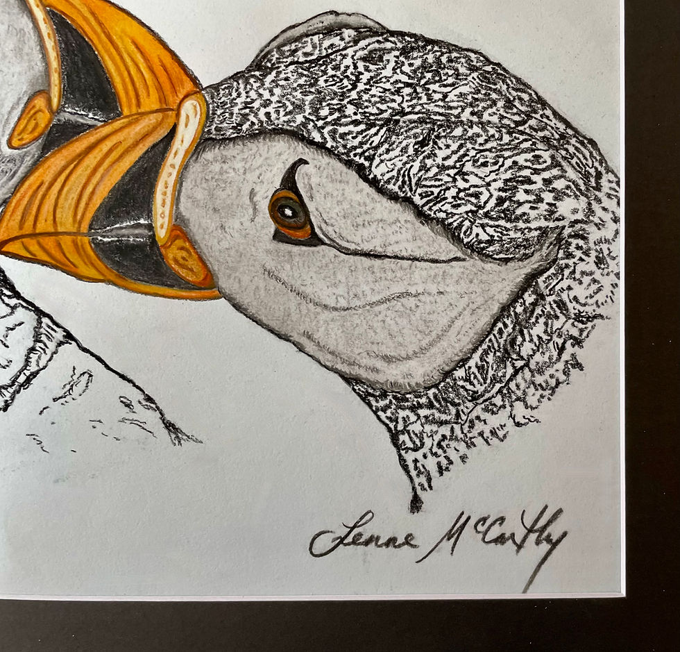 Thumbnail: "Puffins".Original Artwork