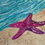 Thumbnail: "Sea Star On A Beach"  Original Art