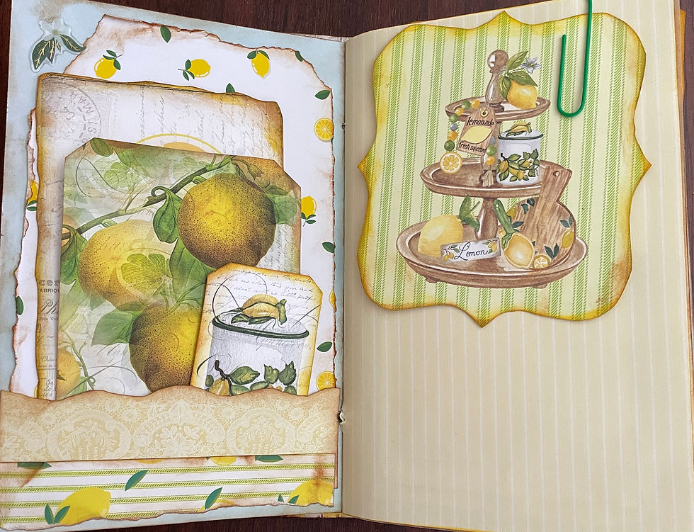 Thumbnail: Lemon Journal