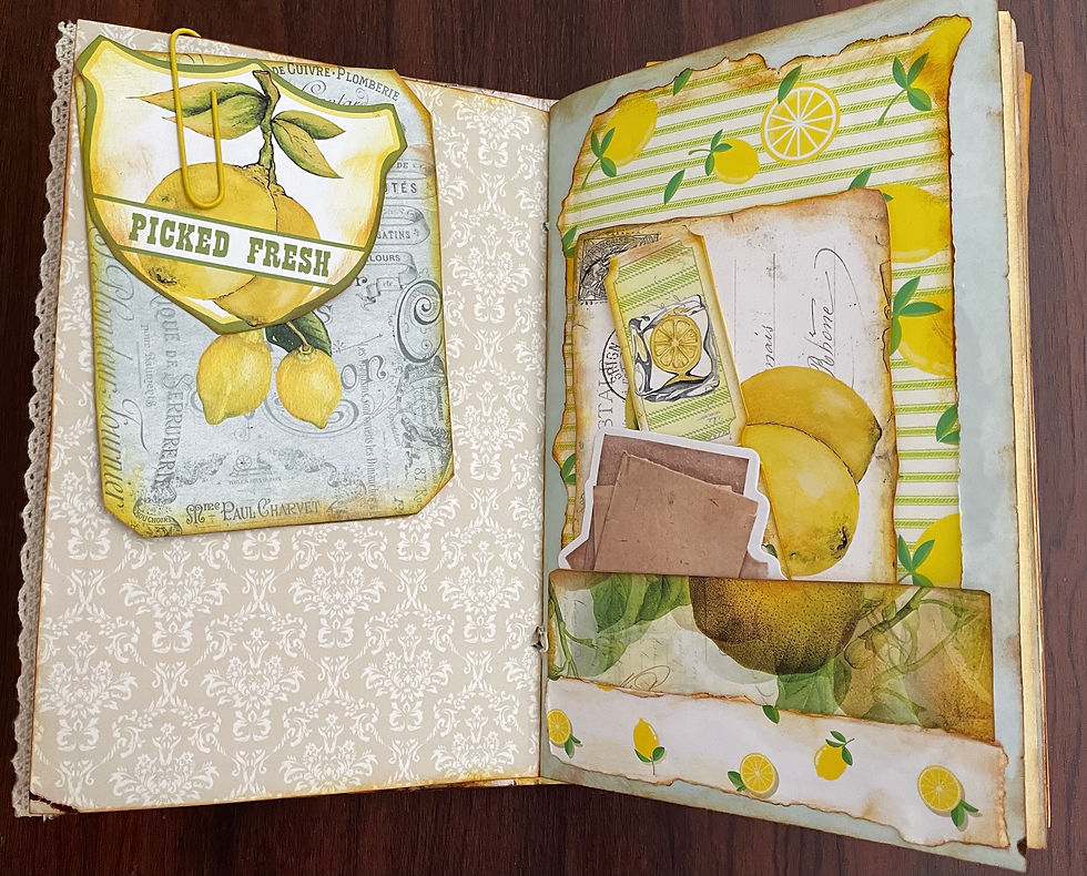 Thumbnail: Lemon Journal