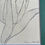 Thumbnail: Tulipano Al Sole.  Tulip In The Sun.  Original Graphite Drawing.