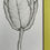Thumbnail: Tulipano In Fiore.  Blooming Tulip.  Original Graphite Drawing.