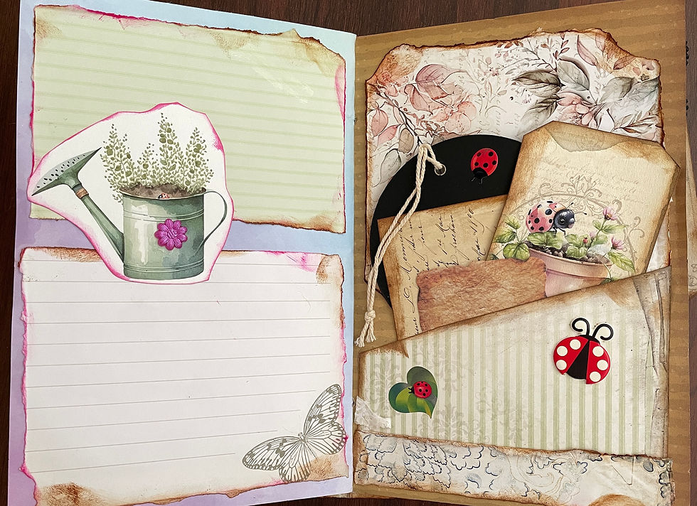 Thumbnail: Ladybug Junk Journal