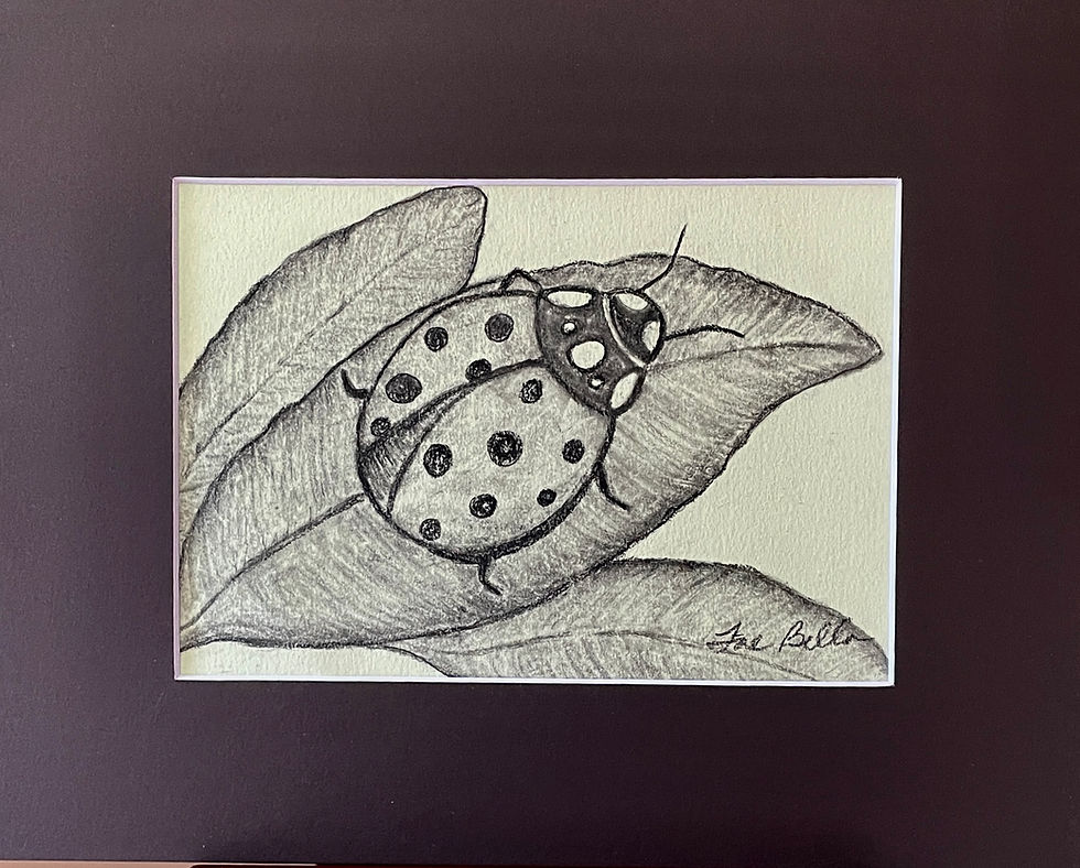 Thumbnail: Lady Bug Charcoal Drawing Fae Bella