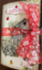 Fae Bella Ladybug Journal Cover