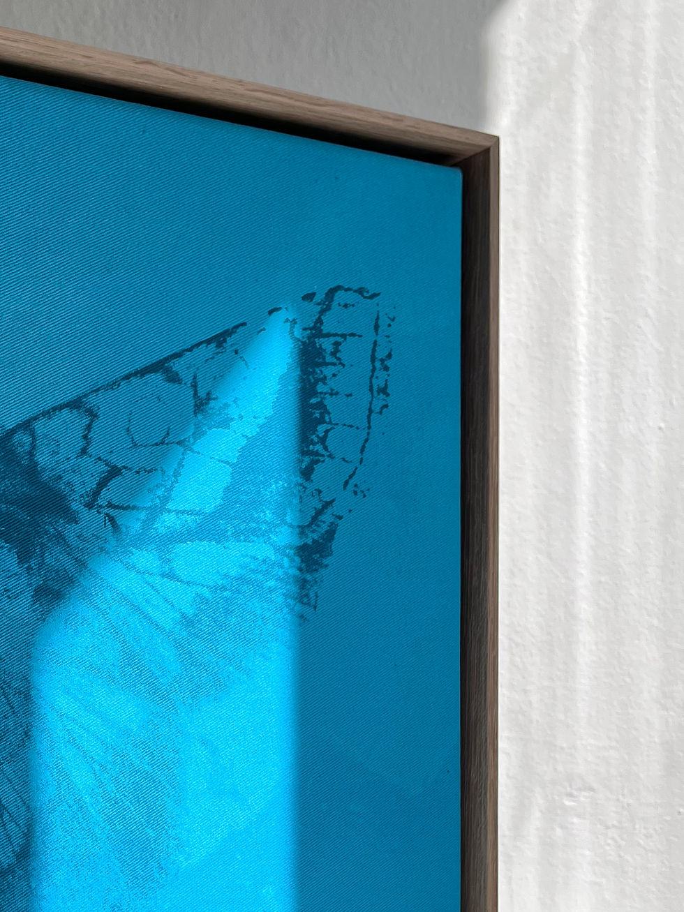 Miniatura: Electric Blue Moth