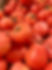 IMG_2708.jpeg