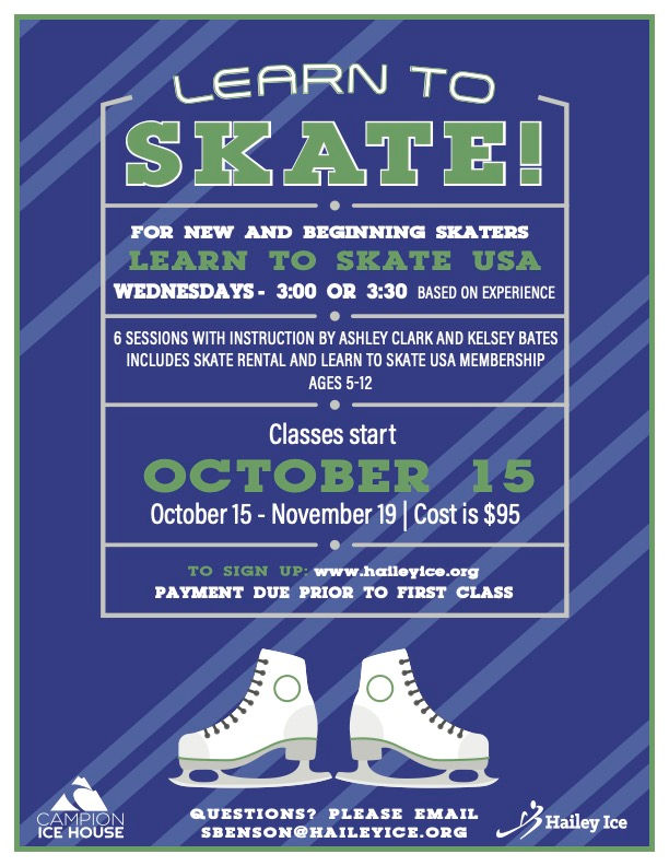 Learn To Skate