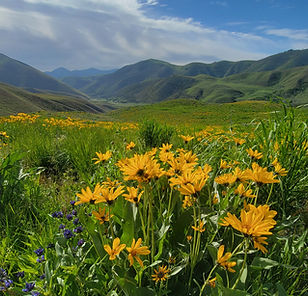 20220618_085518 (1).jpg