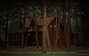 Log cabin surrounded by pine trees in a Montana forest representing log home restoration and preservation.