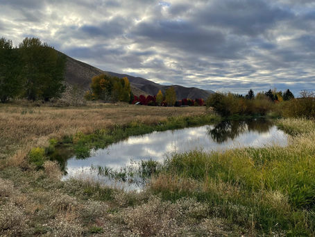 Announcing the Land Trust’s 18th Public Preserve: Old Cutters Preserve