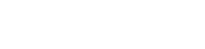 Dark to Light Logo2_white_400w.png