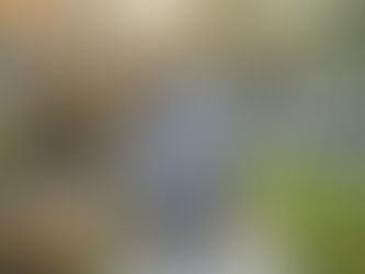 Long-Term Family Insurance Solutions for Financial Planning in the USA