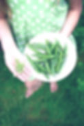 Peapod_ChloeBannerman.jpg