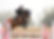 IMG_3533.jpeg