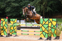 Tiffany & Elmara’s Heywood HZ
