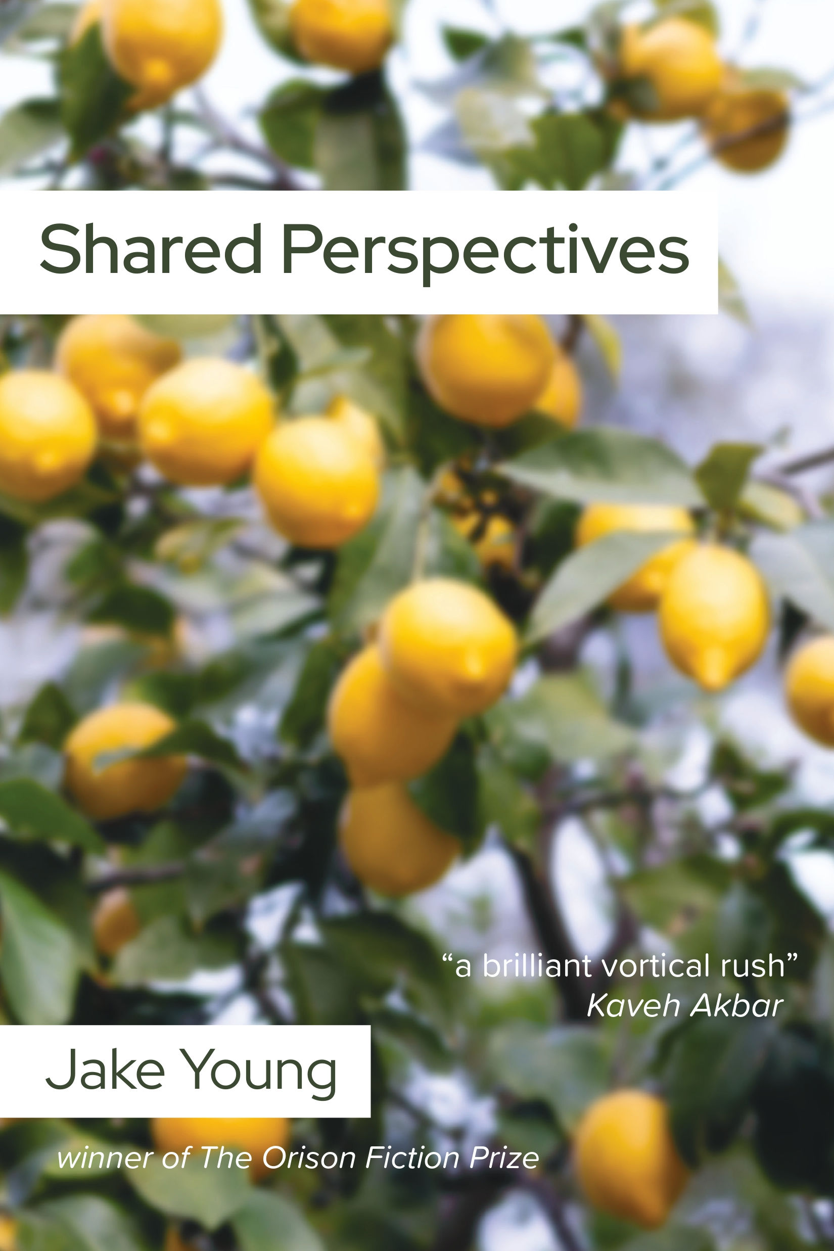 Shared Perspectives, a novella by Jake Young