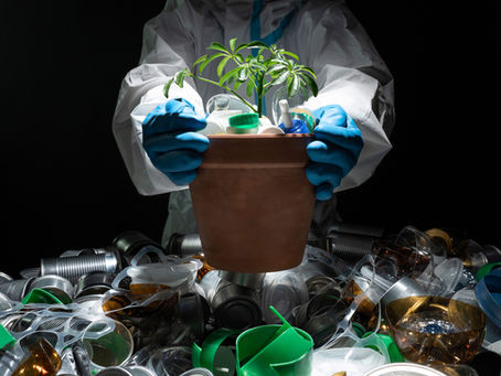 The Growing Potential of Bioplastics and Composites in a Sustainable World