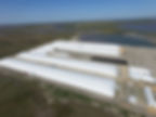Global Shrimp Farm