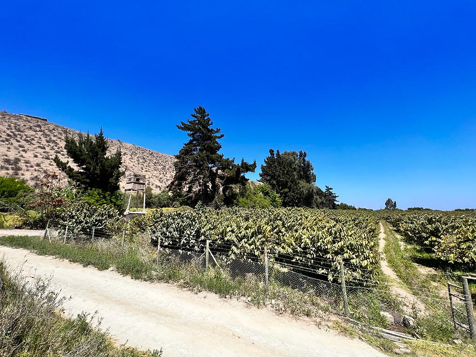 PHOTO-2023-11-16-16-43-46 7