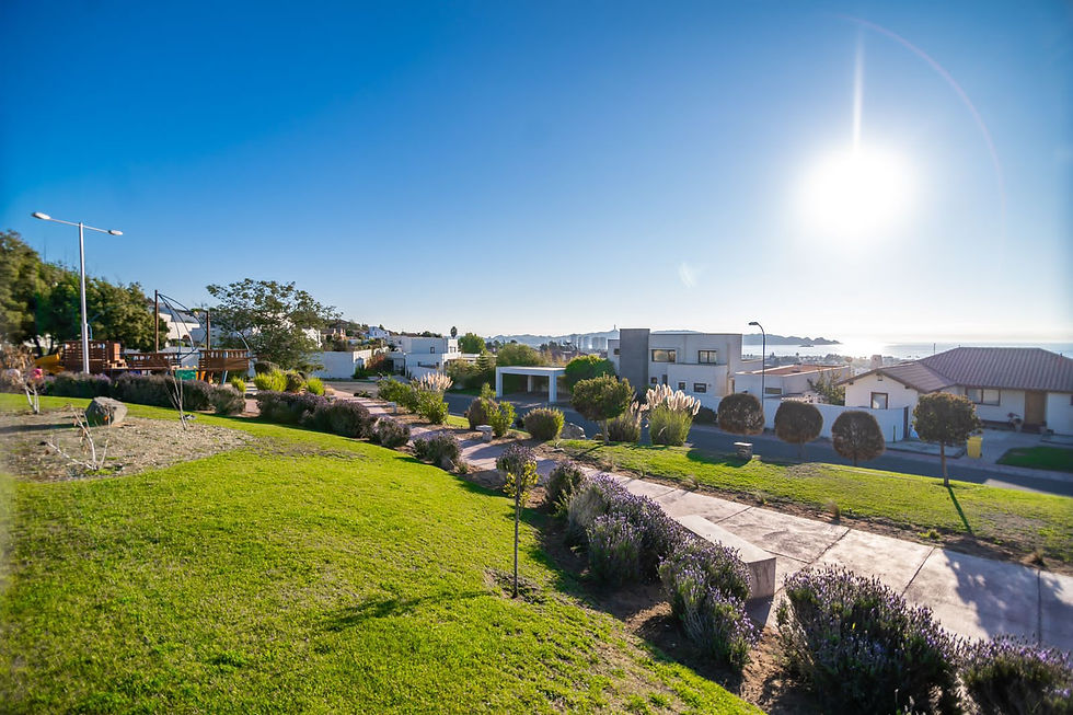 jardines del condominio