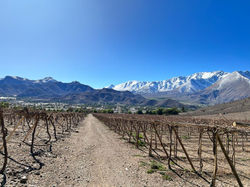 PHOTO-2022-07-19-14-55-50_6