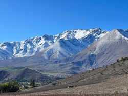 PHOTO-2022-07-19-14-55-50_4