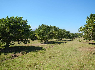 DSCN3392.JPG