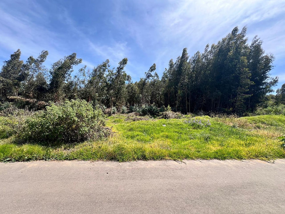 PHOTO-2025-11-05-11-19-49 12