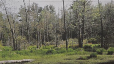 Water District Obtains Dudzik Property, A "Conservation Unicorn"